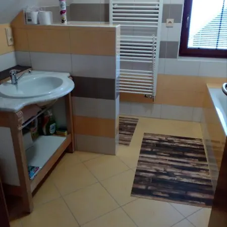 Apartman Rokytnice Horni 725 * ロキトニツェ・ナト・イゼロウ